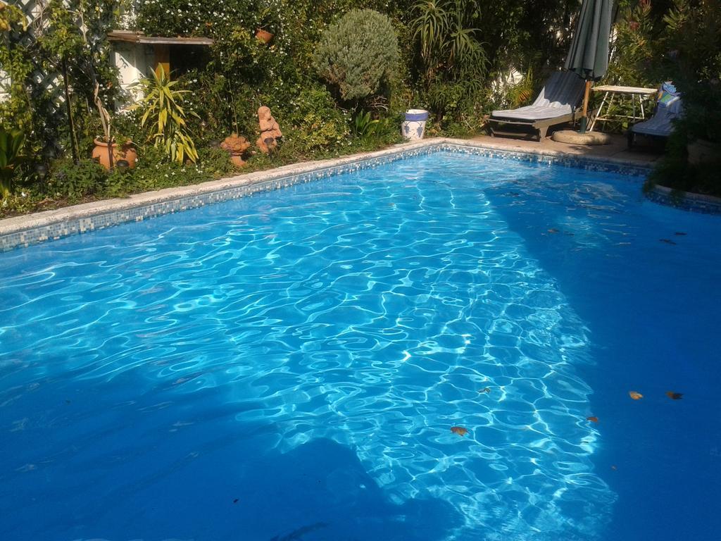 Glenhaven Guesthouse Cape Town Dış mekan fotoğraf