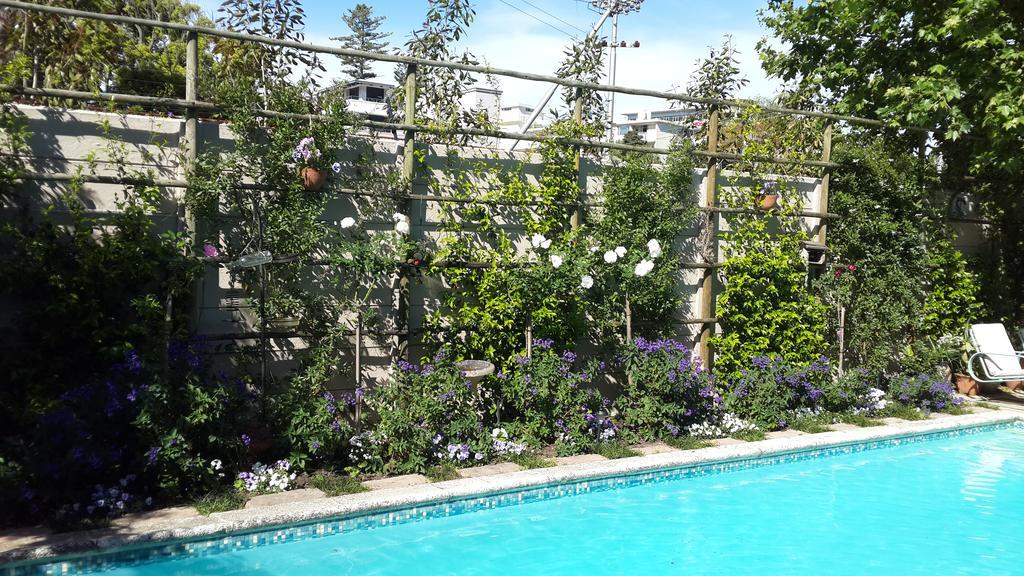 Glenhaven Guesthouse Cape Town Dış mekan fotoğraf