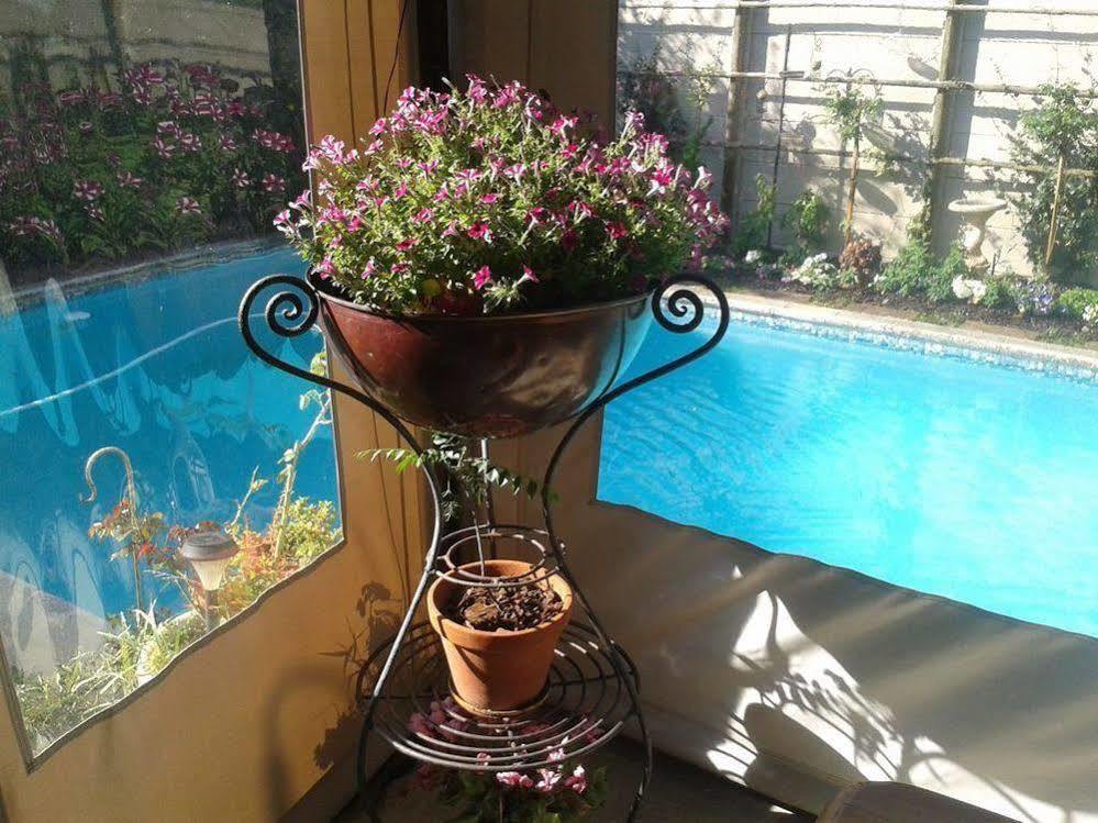 Glenhaven Guesthouse Cape Town Dış mekan fotoğraf