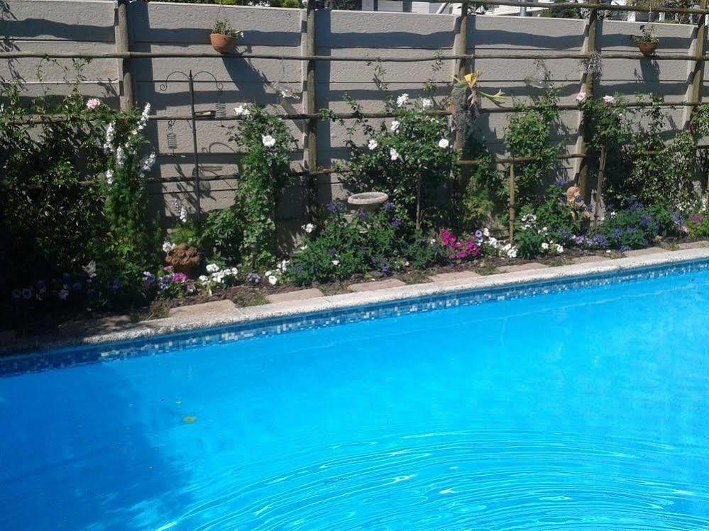 Glenhaven Guesthouse Cape Town Dış mekan fotoğraf