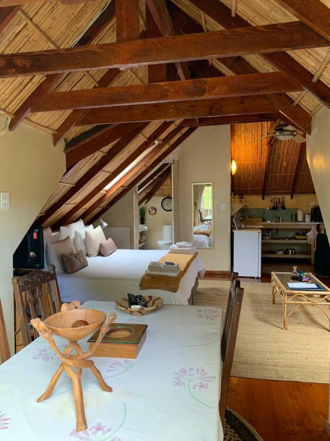 Glenhaven Guesthouse Cape Town Dış mekan fotoğraf